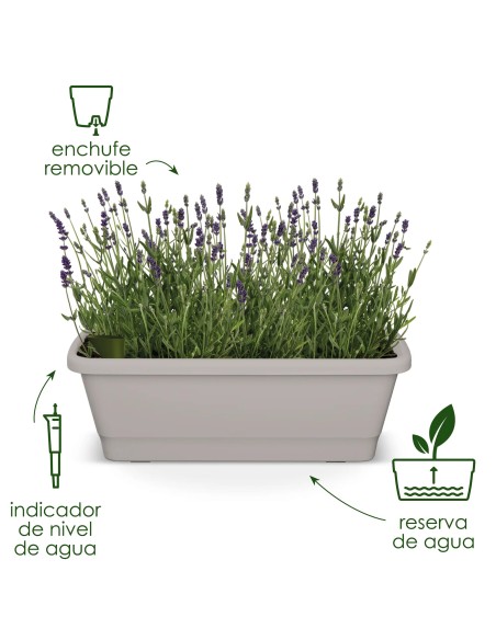 Jardinera Balcón Watersys 100cm Antracita con Autorriego | Decoración y Funcionalidad | Endanea Garden