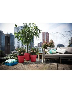 PLATO LOFT REDONDO THEATRE ROJO 28CM 2