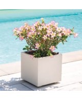 Maceta Cubo Millennium R RA 25cm Perla | Diseño Moderno y Versátil | Endanea Garden