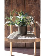 Maceta Sita Antracita 20.5x20.5 cm | Elegancia y Durabilidad para Interior y Exterior

