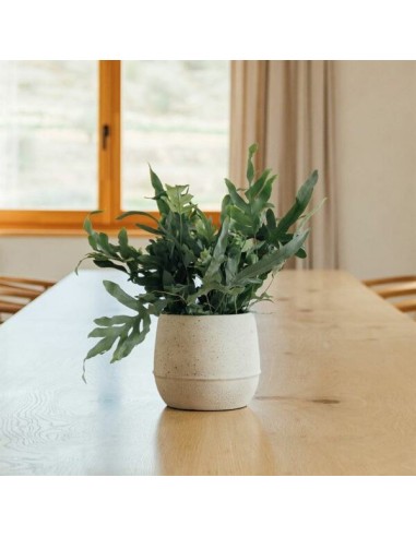 Maceta Coral Blanco 16x16 cm | Diseño moderno y duradero para plantas pequeñas

