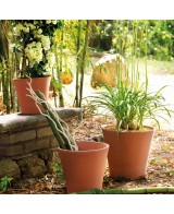 Maceta Vaso Cono Barro Rojo 16 cm | Elegancia y Durabilidad para Plantas


