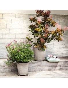 Vaso Cónico Primitivo Grafite  Maceta Minimalista y Resistente | Endanea Garden

 2