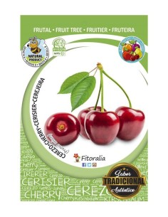 CEREZO LAPINS M25 PRUNUS AVIUM 2