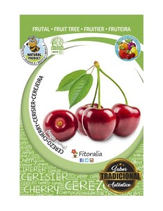 CEREZO  BURLAT  M-25 PRUNUS AVIUM 2