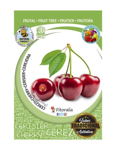 CEREZO  BURLAT  M-25 PRUNUS AVIUM