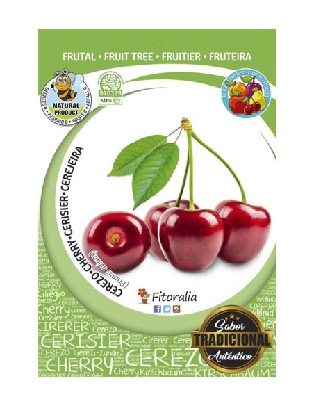 CEREZO  BURLAT  M-25 PRUNUS AVIUM