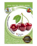 CEREZO  BURLAT  M-25 PRUNUS AVIUM