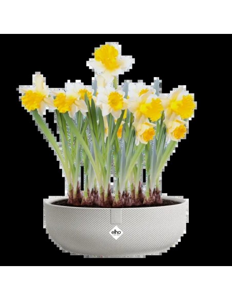 Maceta Jazz Cuenco Silky 28 cm Blanco  Elegancia y Modernidad para tu Hogar y Jardín

