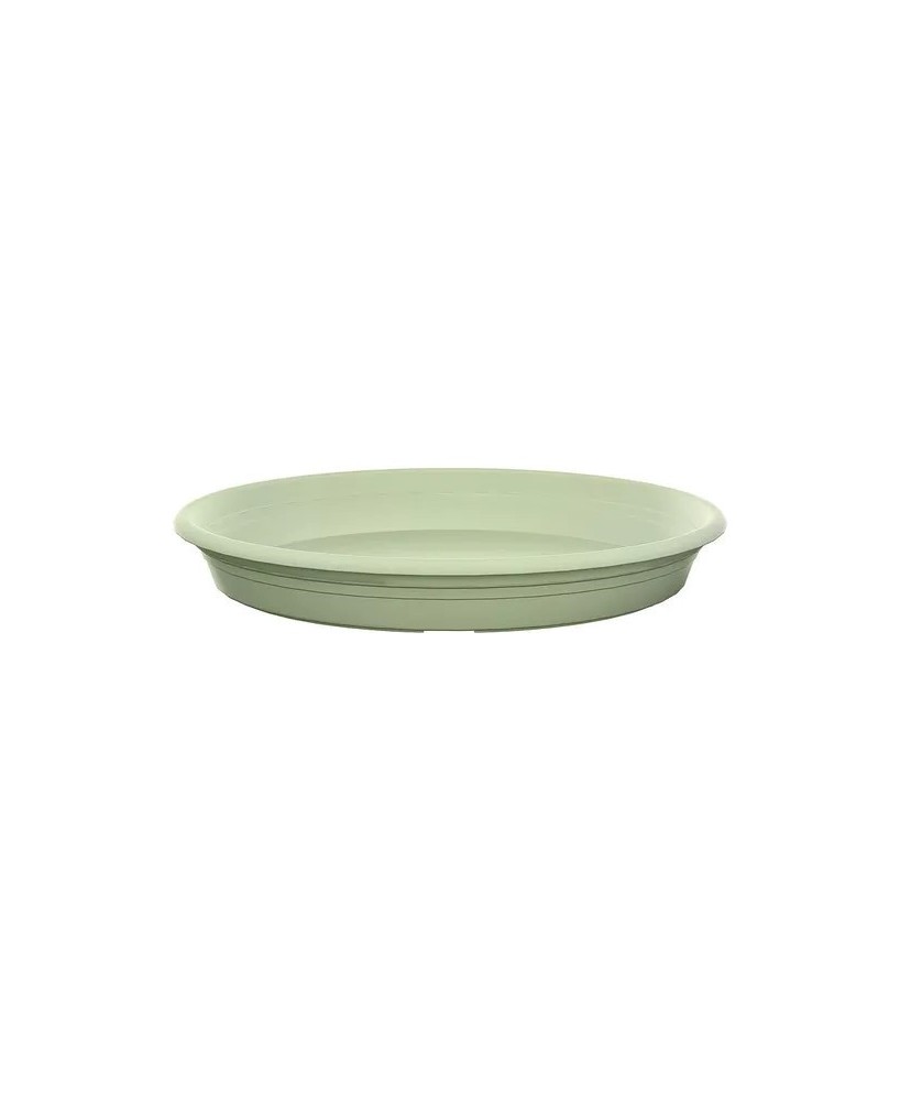 Plato Redondo Universal 19 cm Verde  Protección para Macetas Pequeñas | Endanea Garden

