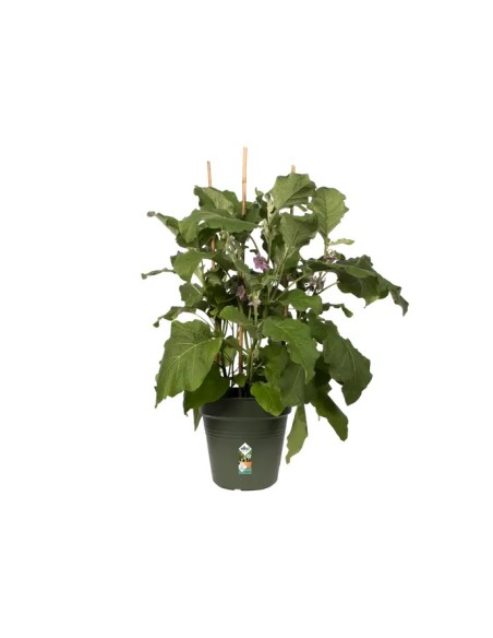 Maceta G.B. Growpot 40cm Verde | Ideal para Jardinería y Cultivo Urbano | Endanea Garden