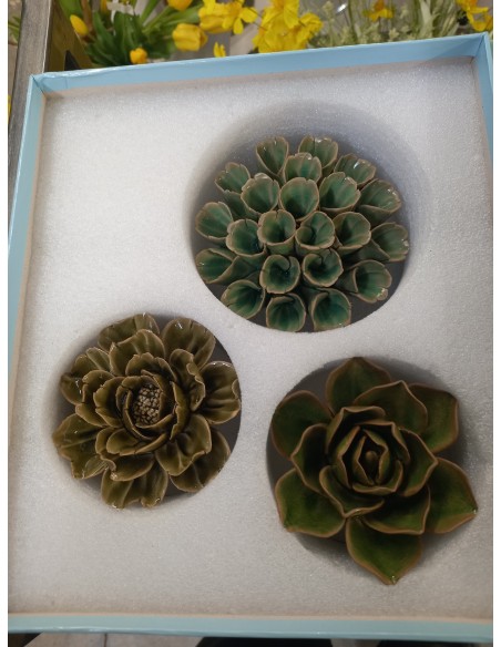 CORAL FLEUR BOX