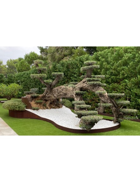 BORDURA CORTEN 12 PRO 1500X100X1-D PIEQUETAS Y TORNILLERIA