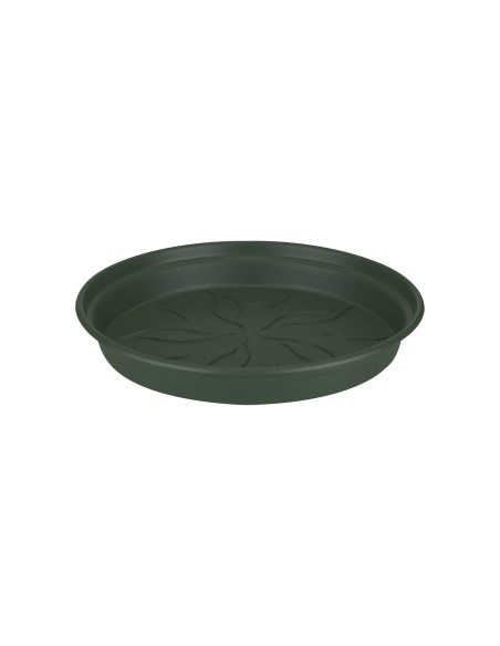 Plato G.B. 17 cm Verde para Macetas Pequeñas | Accesorio Práctico y Resistente