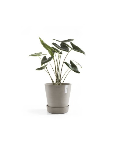 Jardinera con ruedas SAUCER WHEELS 40 TAUPE | Diseño elegante | Endanea Garden

