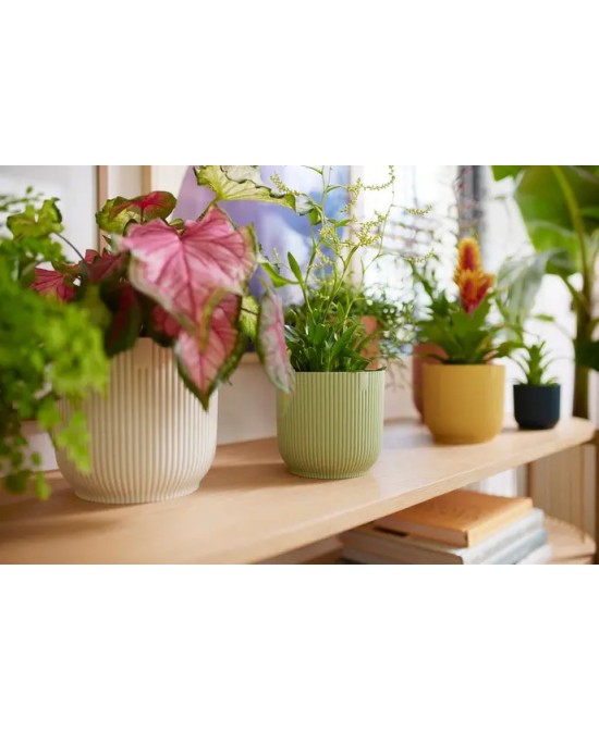 Maceta Vibes FOD Round Mini 9 cm Verde Sorbete - Estilo y Frescura para tu Hogar | Endanea Garden