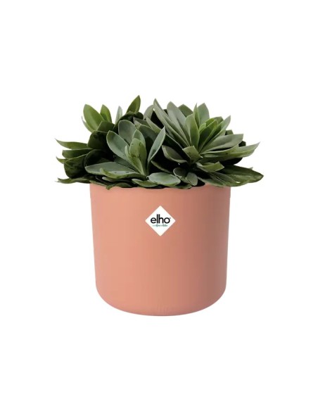 MACETA B. FOR SOFT REDONDA 18CM ROSA