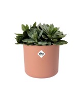 MACETA B. FOR SOFT REDONDA 18CM ROSA