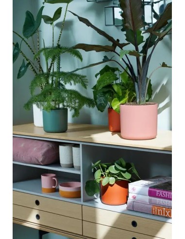 MACETA B. FOR SOFT REDONDA 18CM ROSA