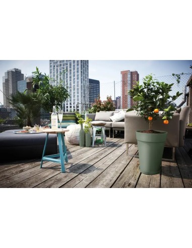 Plato Loft 21cm Verde Pistacho  Protección Funcional y Estilo Moderno | Endanea Garden