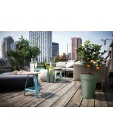 Plato Loft 21cm Verde Pistacho  Protección Funcional y Estilo Moderno | Endanea Garden