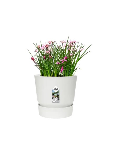 Maceta Redonda 18cm Blanco | Elegante y Versátil para Interiores y Exteriores | Endanea Garden