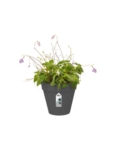 Maceta Loft Urban 15 cm Antracita para Interior y Exterior | Endanea Garden

