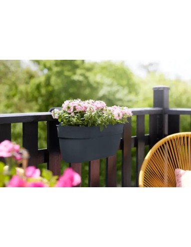 MACETA VIBIA CAMPANA EASY HANGER ANTRACITA | Maceta Colgante Moderna para Balcón y Terraza | Endanea Garden