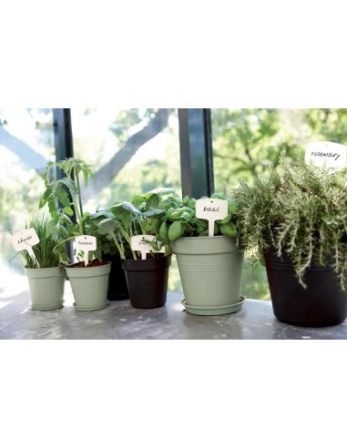 Maceta GB Growpot Stone Green 30 cm | Elegante y Duradera para Tu Jardín | Endanea Garden