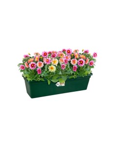 Jardinera GB 40CM VRD | Ideal para Plantas en Macetas | Resistente y Elegante | Endanea Garden 2