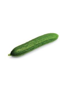 PEPINO HOLANDES PACK 1 2
