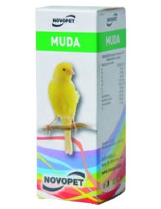 CORRECTOR MUDA