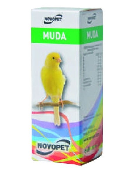 CORRECTOR MUDA