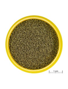 PRONOVO DANIO GRANO XS 100ML. CLICK 2