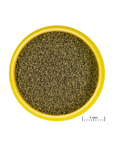 PRONOVO DANIO GRANO XS 100ML. CLICK