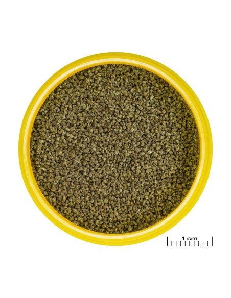 PRONOVO DANIO GRANO XS 100ML. CLICK