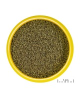 PRONOVO DANIO GRANO XS 100ML. CLICK