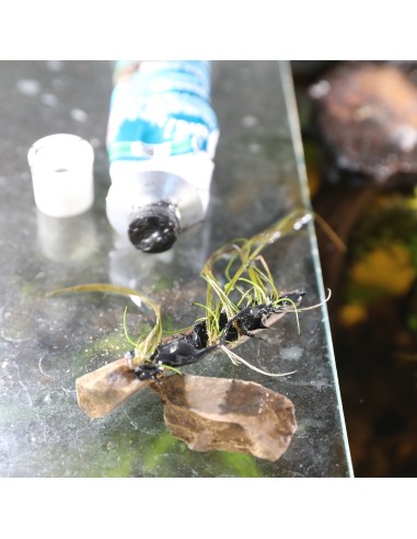 PROHARU UNIVERSAL 80 ML