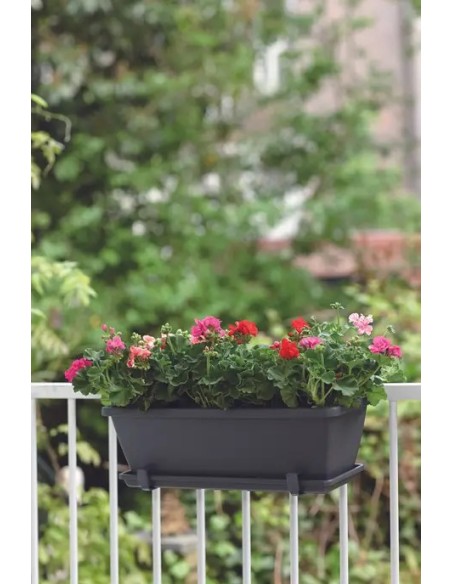 Jardinera Barcelona 50 cm Antracita | Estilo Elegante y Funcional para Jardines y Terrazas | Endanea Garden