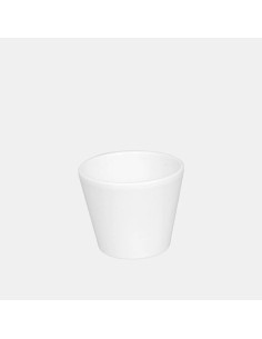 Maceta Vaso Cactus Blanco 9x9 cm  Elegante y Moderna para Plantas Pequeñas | Endanea Garden