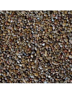 GARBANCILLO  DE RIO 20K 6-12MM