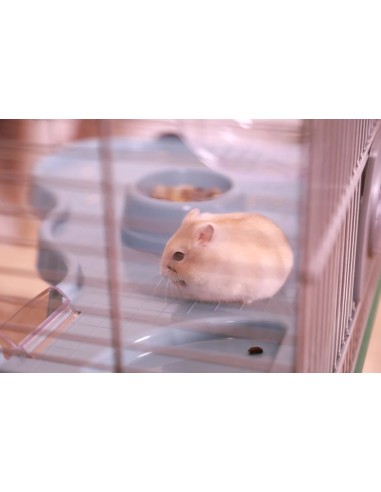 JAULA PANAS COLOUR 60 GRIS