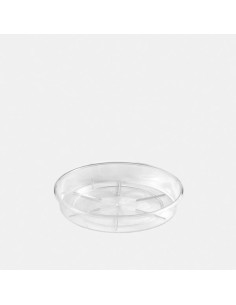 Plato Porto Transparente 12x2cm para Macetas - Protección y Estilo | Endanea Garden