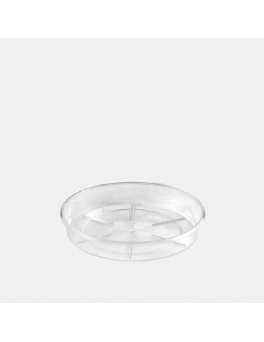 Plato Porto Transparente 12x2cm para Macetas - Protección y Estilo | Endanea Garden