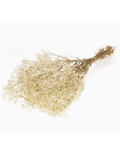 GYPSOPHILA PRESERVADA NAT.