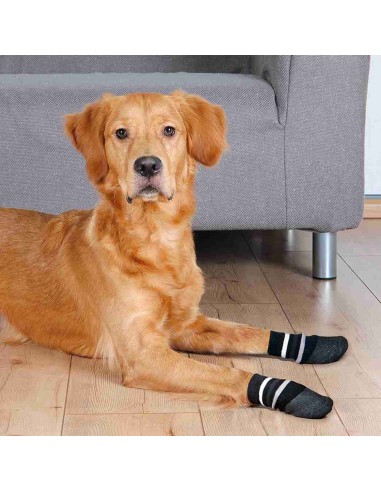 CALCETINES PERRO ANTIDESLIZANTE S-M NEGRO