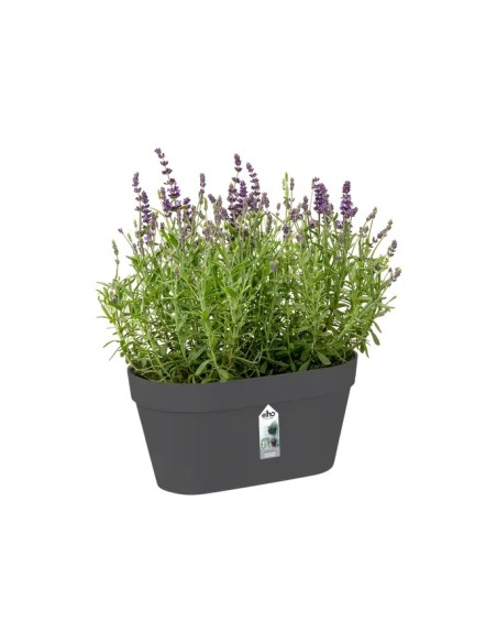 MACETA LOFT URBAN DUO 28CM ANTRACITA