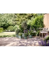 PLATO LOFT REDONDO THYME 17 CM VERDE