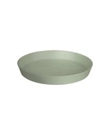 PLATO LOFT REDONDO THYME 17 CM VERDE