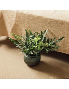 Maceta Ruti Esmeralda 20x20 cm | Cerámica esmaltada moderna y duradera